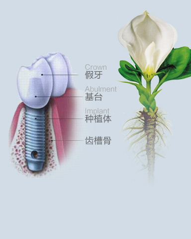 天津東麗區無痛人流醫院